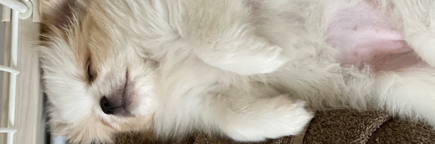 case2kbys's profile banner image