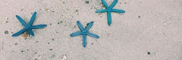 salsatrash Profile Banner