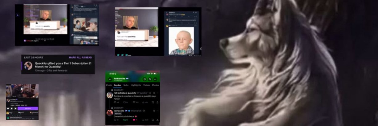 Fati extraña a quackity 🌐's banner