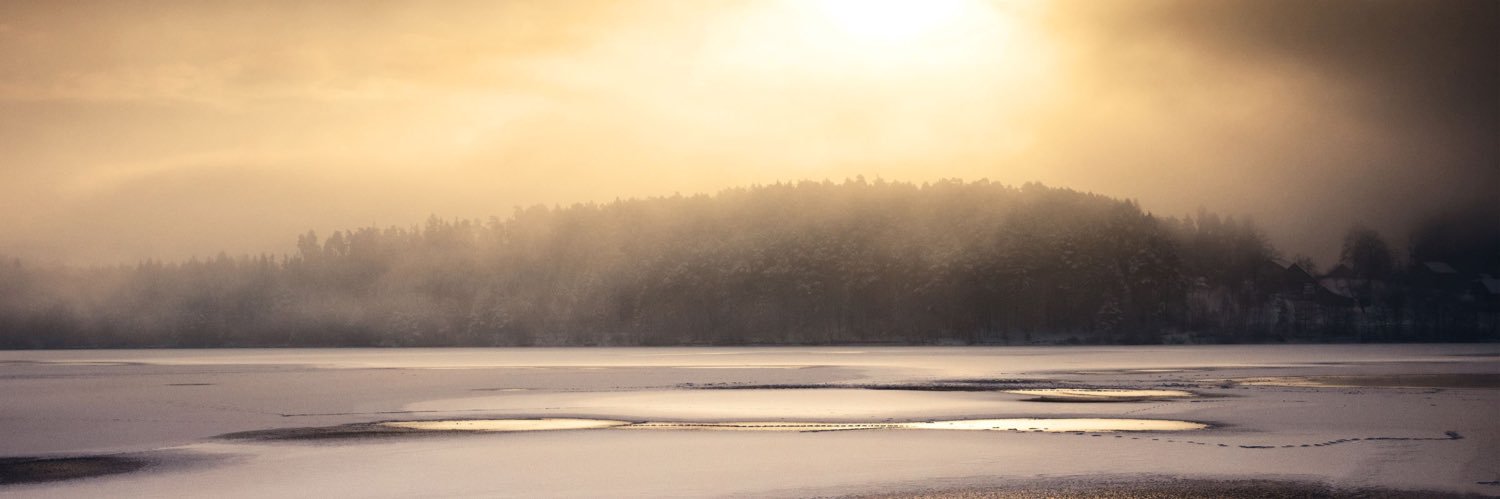 DebbieGronau's profile banner image
