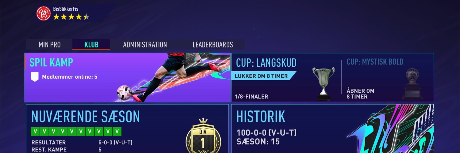 Mads Bisgaard banner