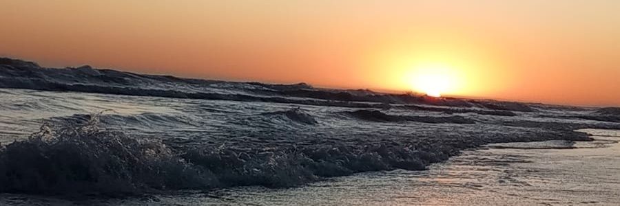 andref1984's profile banner image