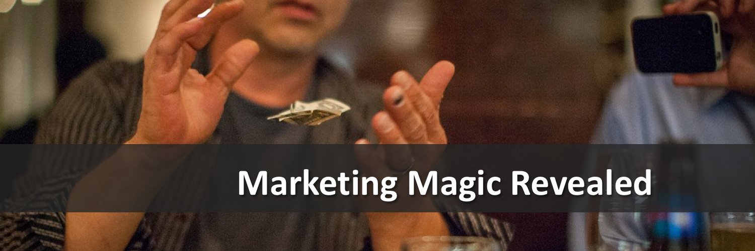 mlm_leads banner