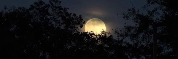 rym8 Profile Banner