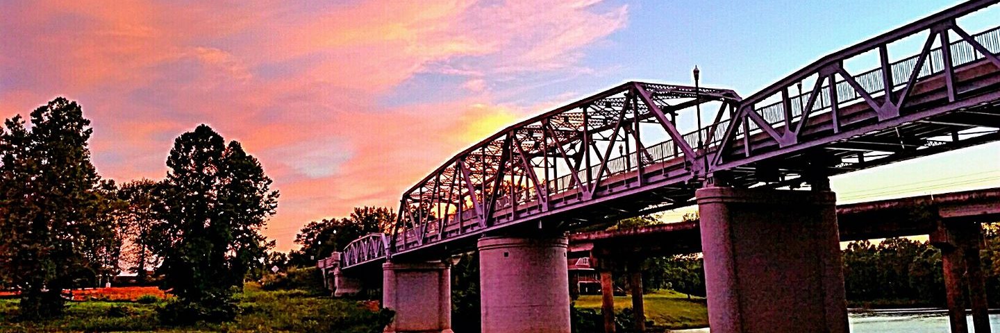 katypacelli's profile banner image