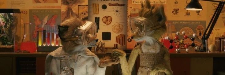 maniazdrawz's profile banner image