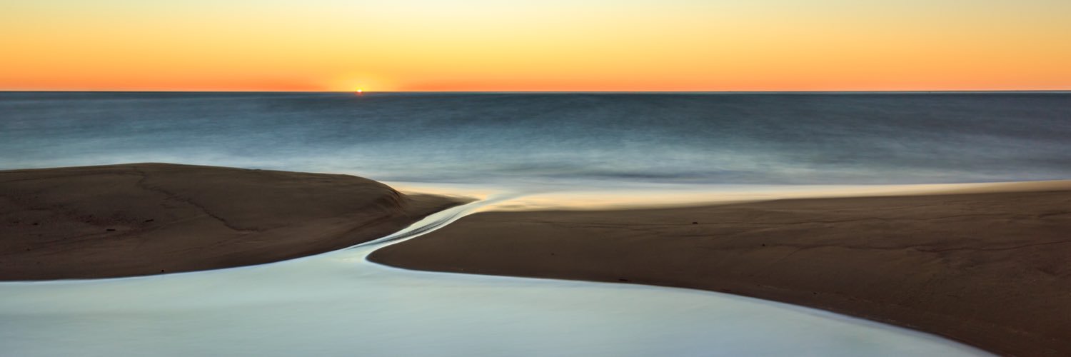 Faustorosa's profile banner image