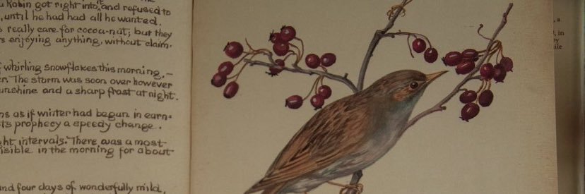 a7lam1211's profile banner image