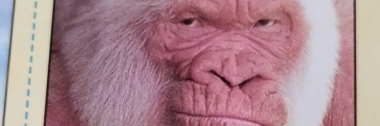 mreneef's profile banner image