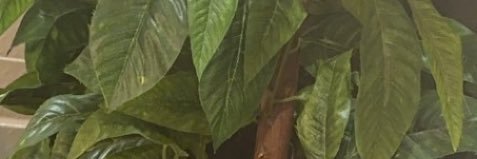 dddssdddxc's profile banner image