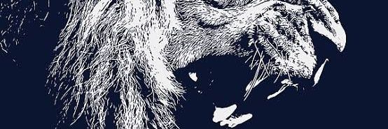Debrandon17's profile banner image