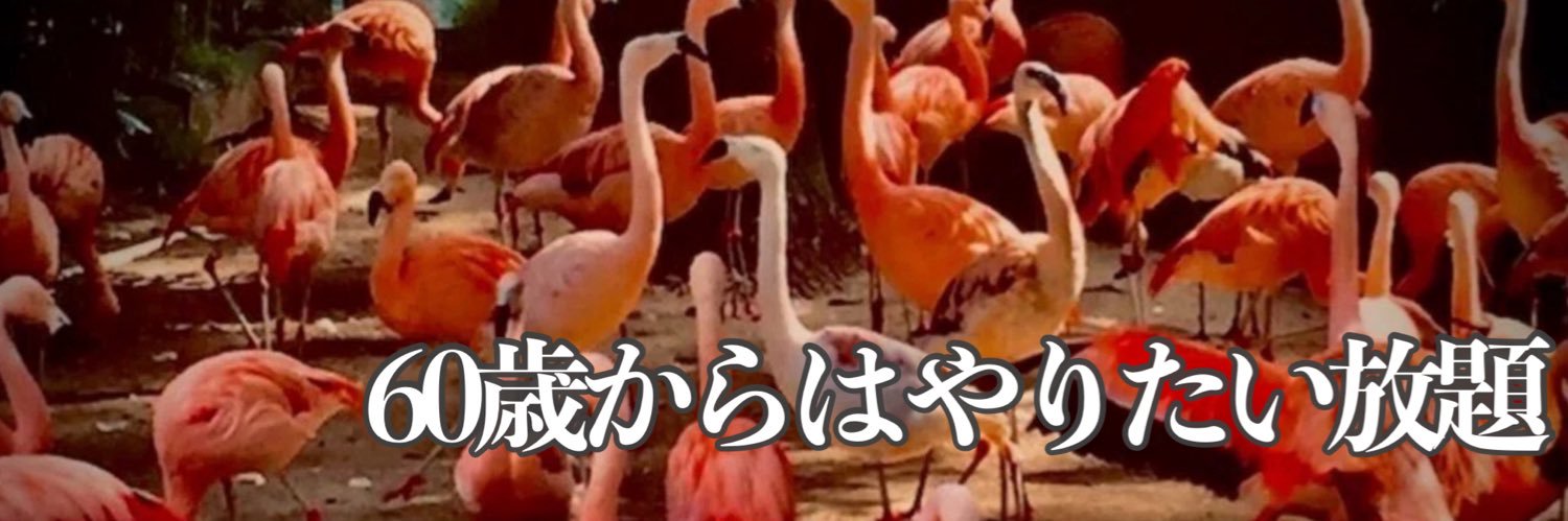 ASA_KAT_TUN_'s profile banner image