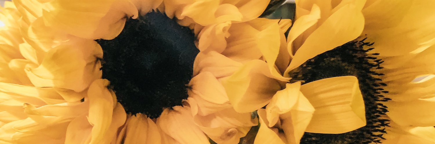 macypls's profile banner image