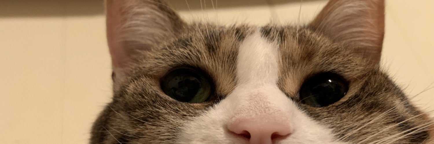 MattG(124) ~ Listen to Grindhaus Movie Club banner