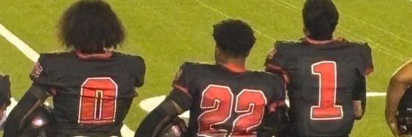 Dominic_Davis0 Profile Banner