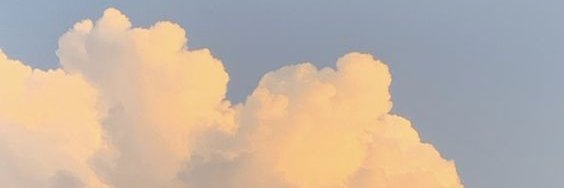 Neus(Slow+ฝึกงาน) banner