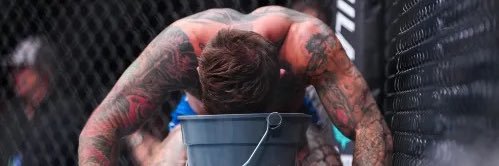 The Southern Oracle banner