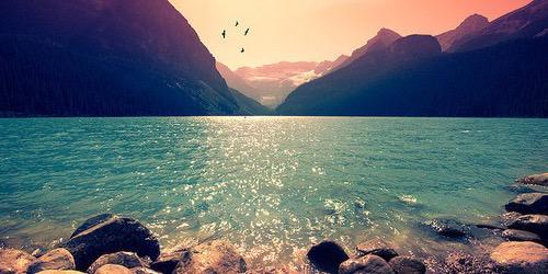 xChloex1D's profile banner image