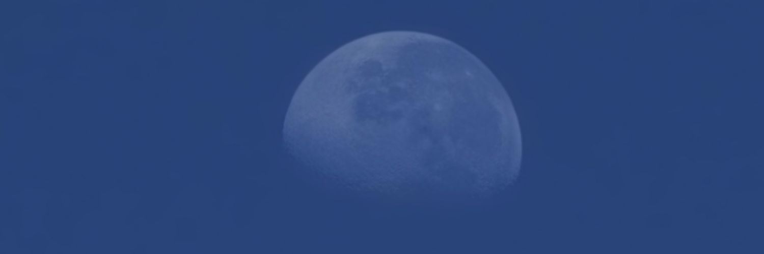 _pichinelli's profile banner image