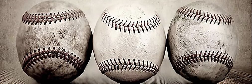 Nicholas Dolbin banner