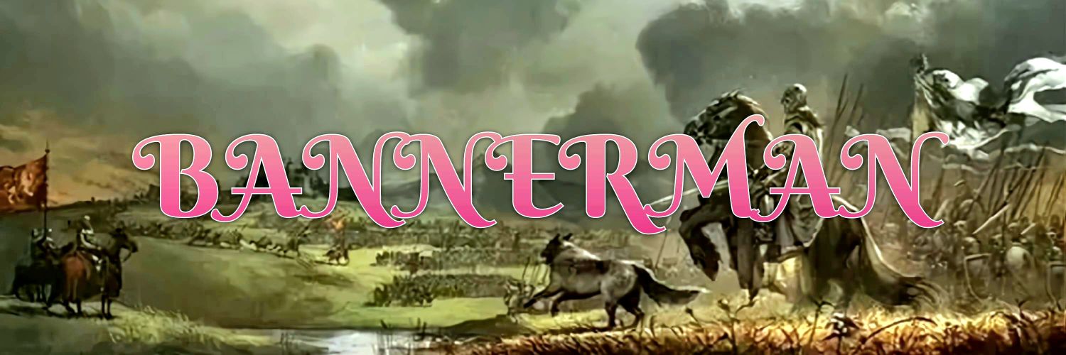 𝕭𝖆𝖓𝖓𝖊𝖗 𝕸𝖆𝖓🇺🇸🇺🇦's banner
