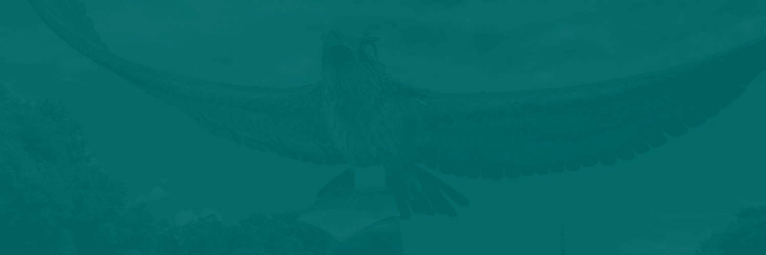 OneSeahawk Collective Profile Banner