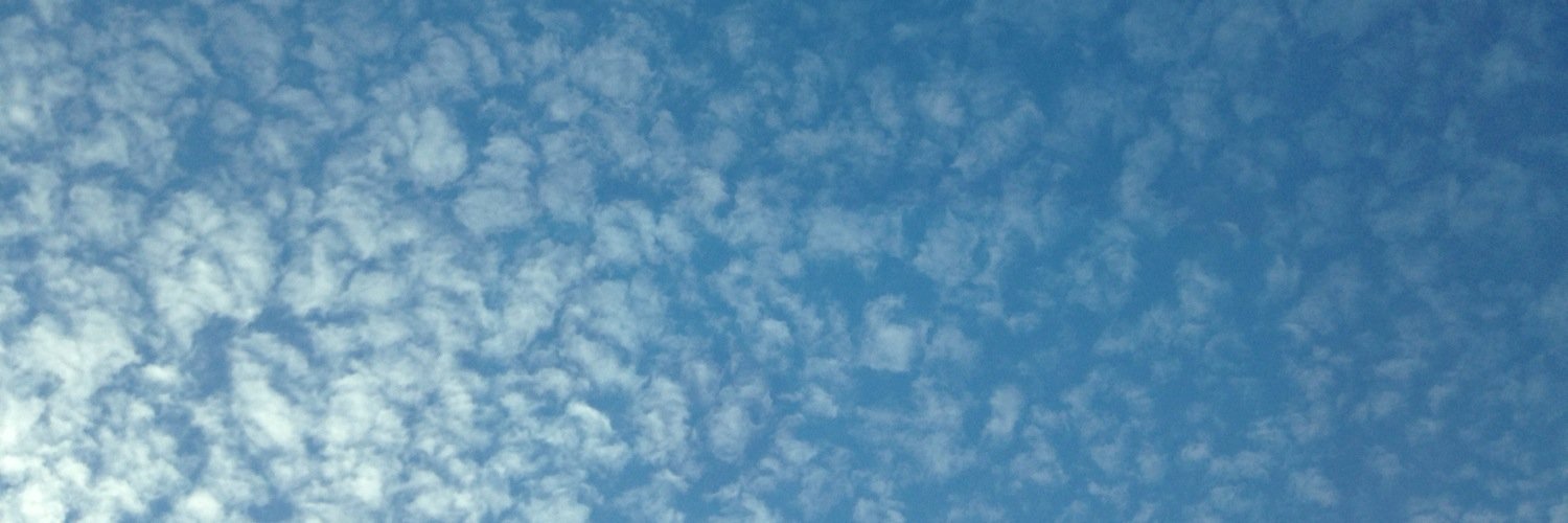 adstarkel's profile banner image