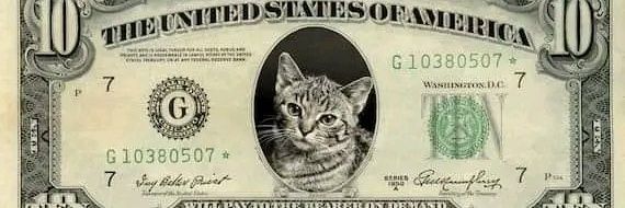 Partido Animal banner