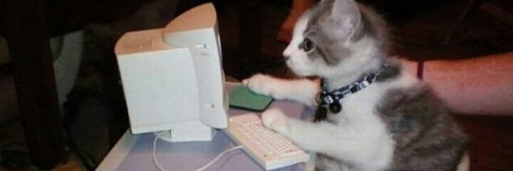 mena_suli's profile banner image