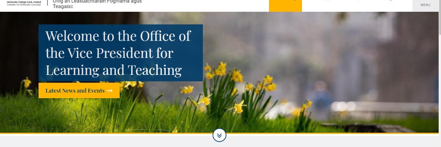 UCC Learning and Teaching banner