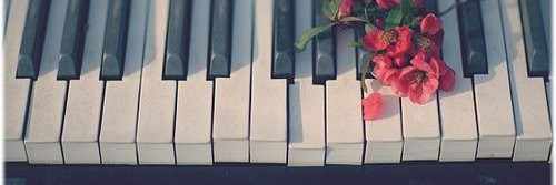 ᴀsʜʟᴇʏ (Low active, แอคทีฟจริงจังหลัง วันที่ 16) banner