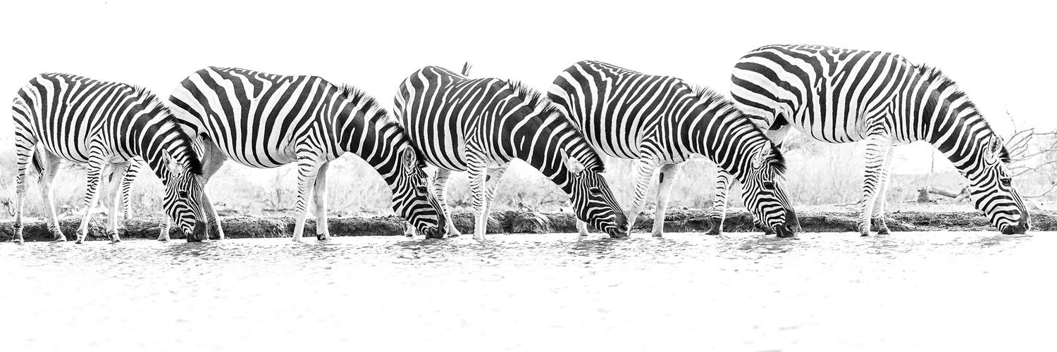 Joe Misika™ banner