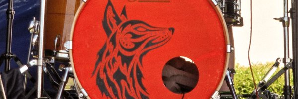 Stray_Fox_Band Profile Banner