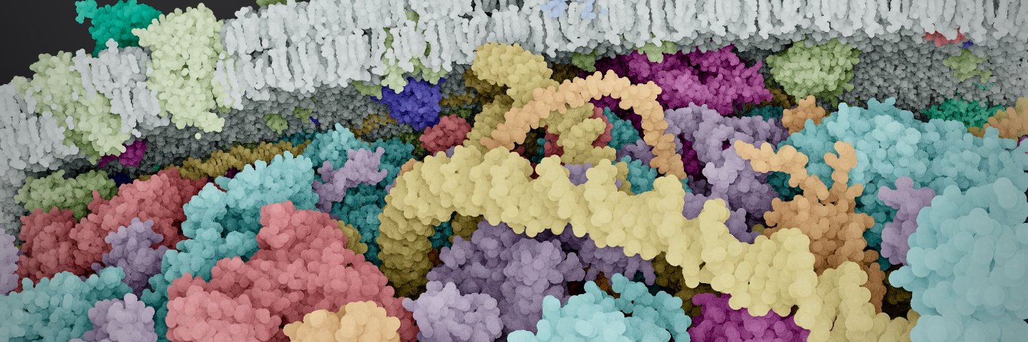 Tim Davison ᯅ banner