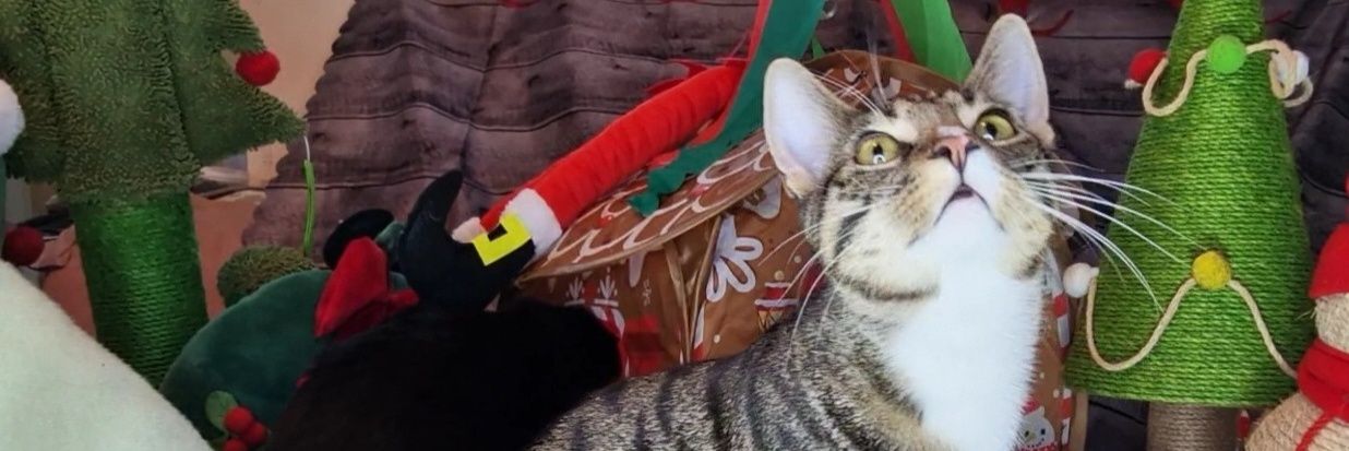 Sharyn E. Williams banner