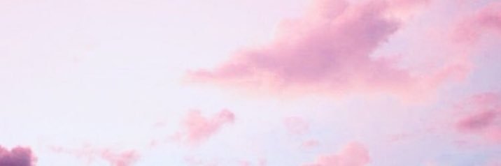 troyler's profile banner image