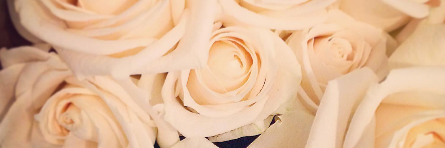 itisalexis's profile banner image