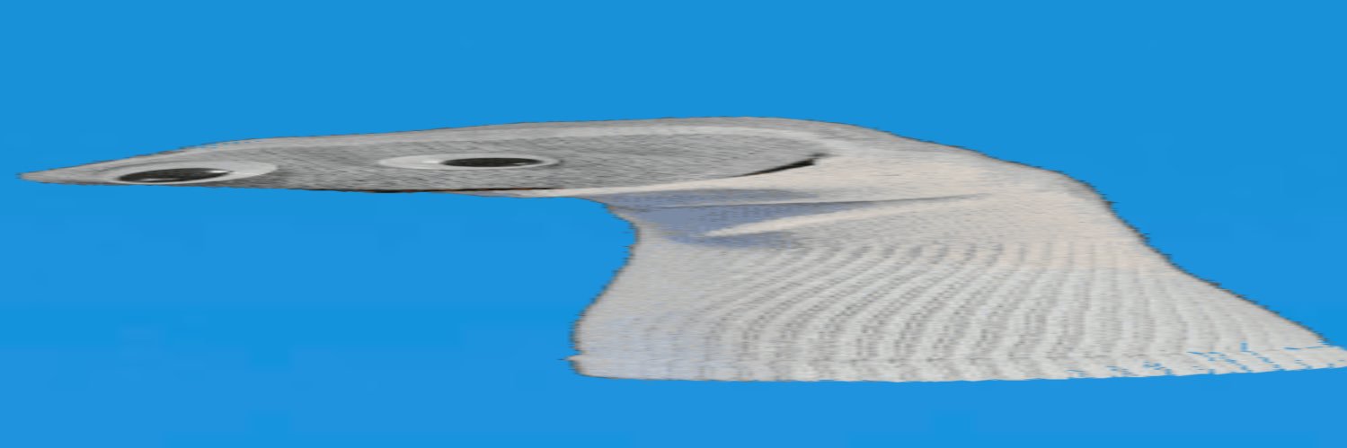 Teamof6's banner
