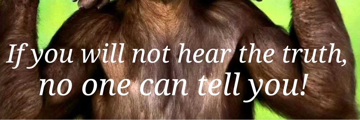 warmthinurheart's profile banner image