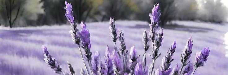 Nesli657's profile banner image