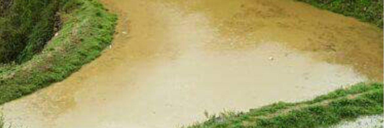 رفيع الشآن banner