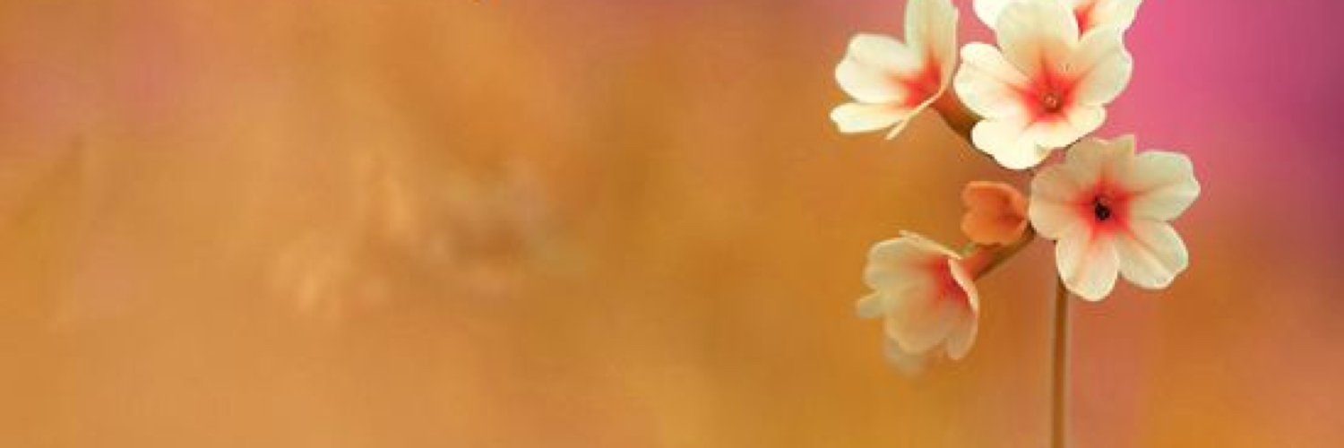 Jose Fernandes banner