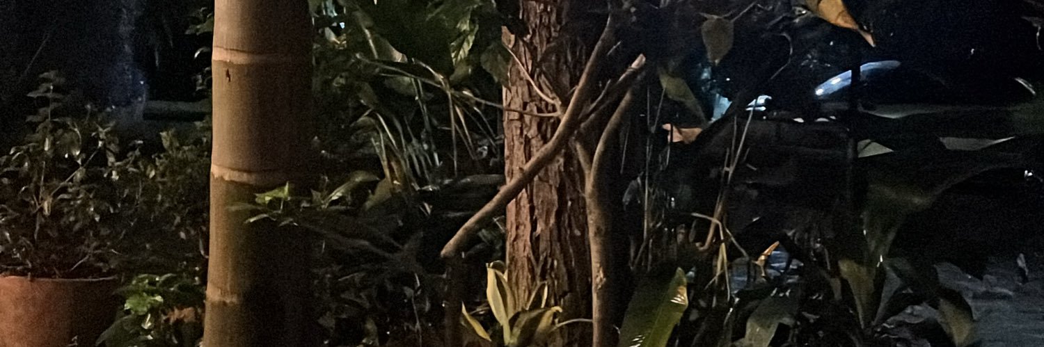 Jumadiru's profile banner image