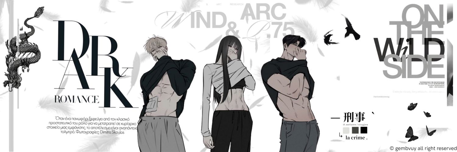 aylin banner