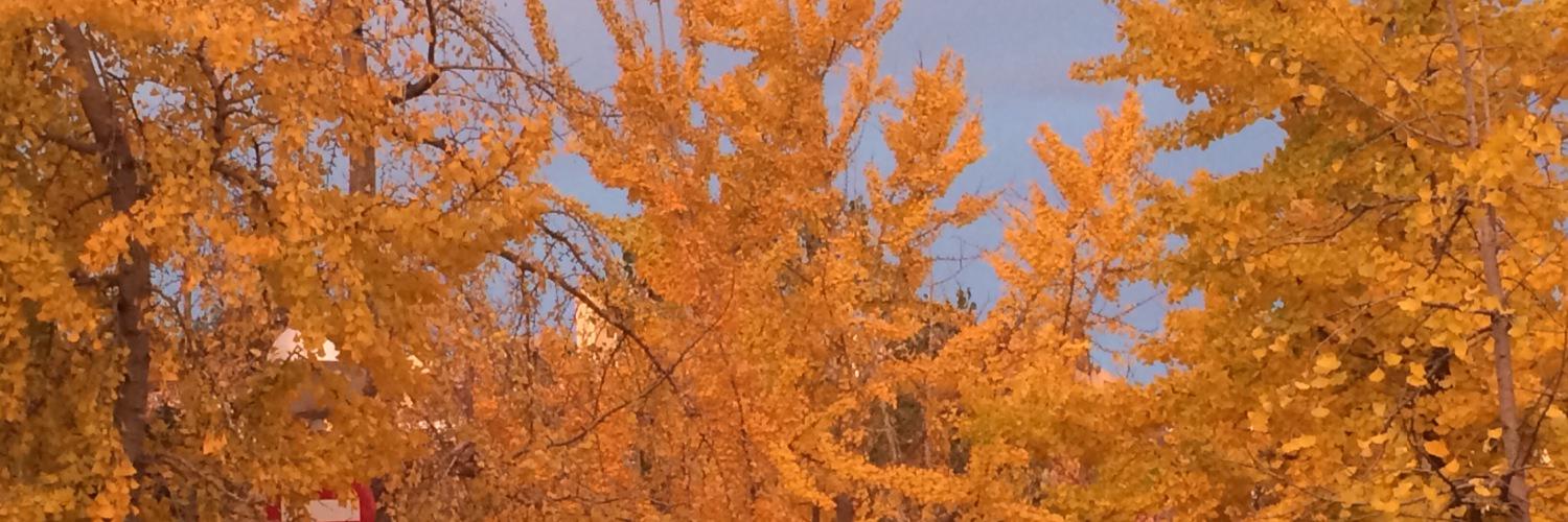 mdefoix's profile banner image