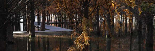 ZhiyuanZeng_ Profile Banner