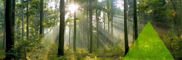 WeissMultiStrat Profile Banner