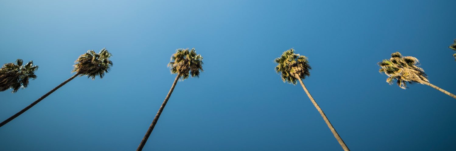SouthLA26's profile banner image