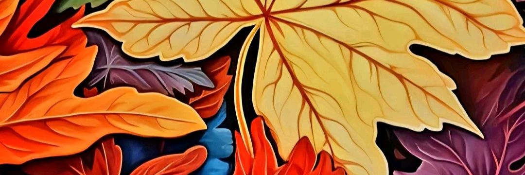 maydanoz banner