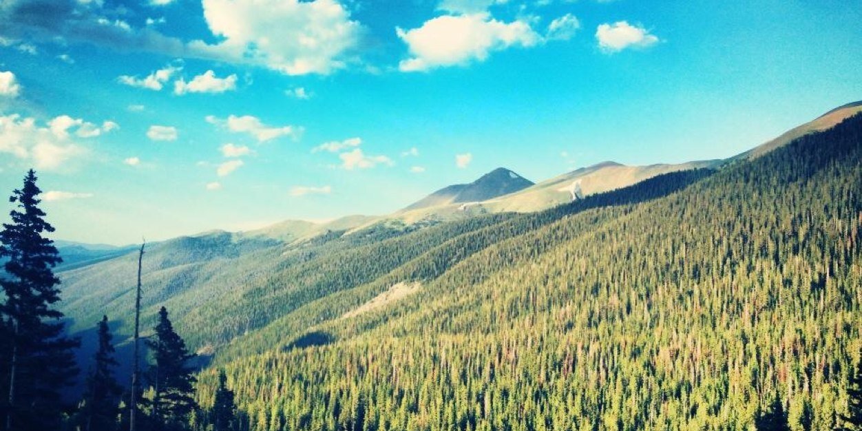 MrsAmberMcNeil's profile banner image